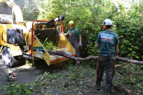 tree services Burns Harbor